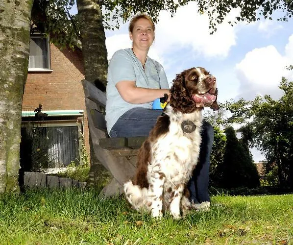 Ferienhaus Ferien & Freizeithof Meutstege