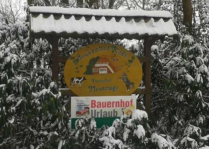 Ferien & Freizeithof Meutstege Ferienhaus *